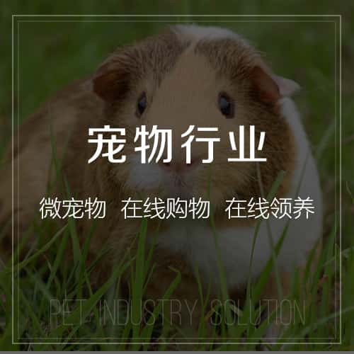 长治宠物